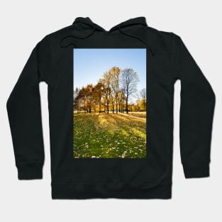 Autumn in Helsinki Hoodie